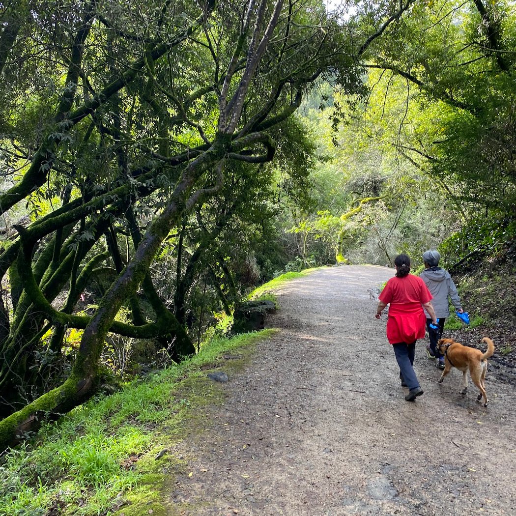 Lower Fire Trail Trailhead 1