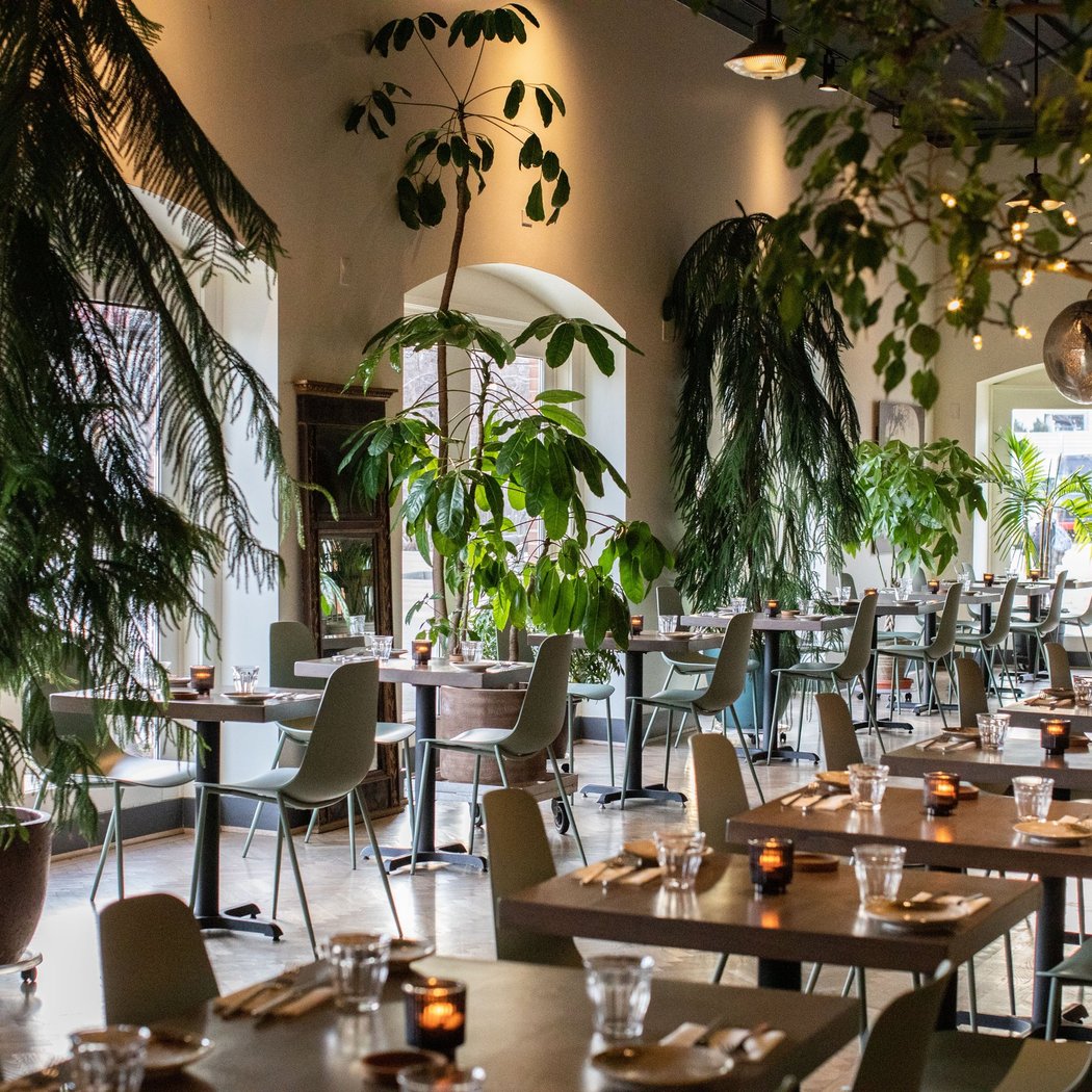 Alma Cocina Latina 2