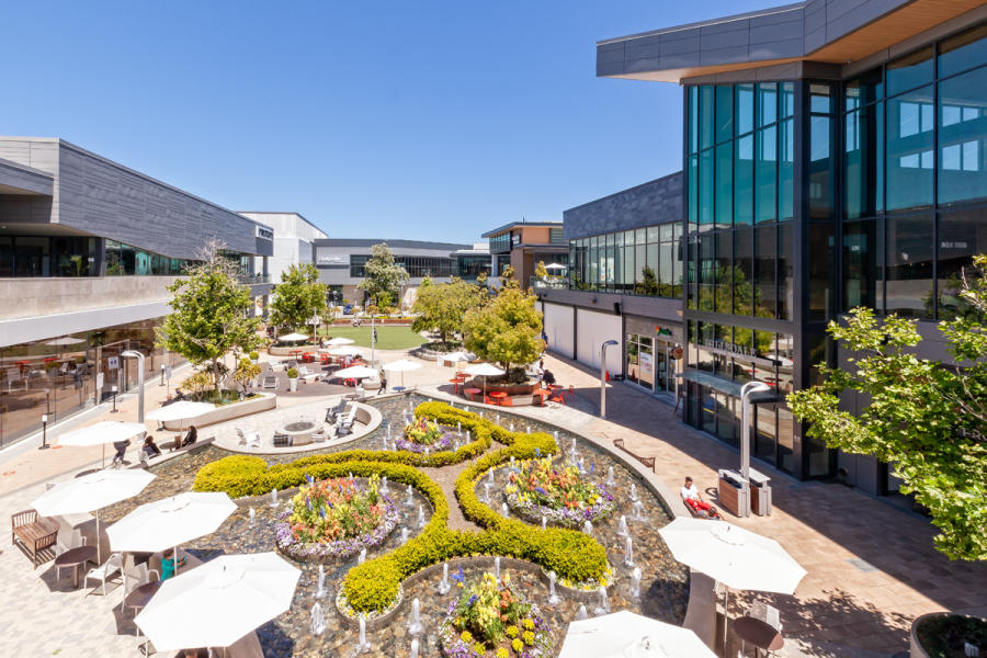 Hillsdale Shopping Center 1
