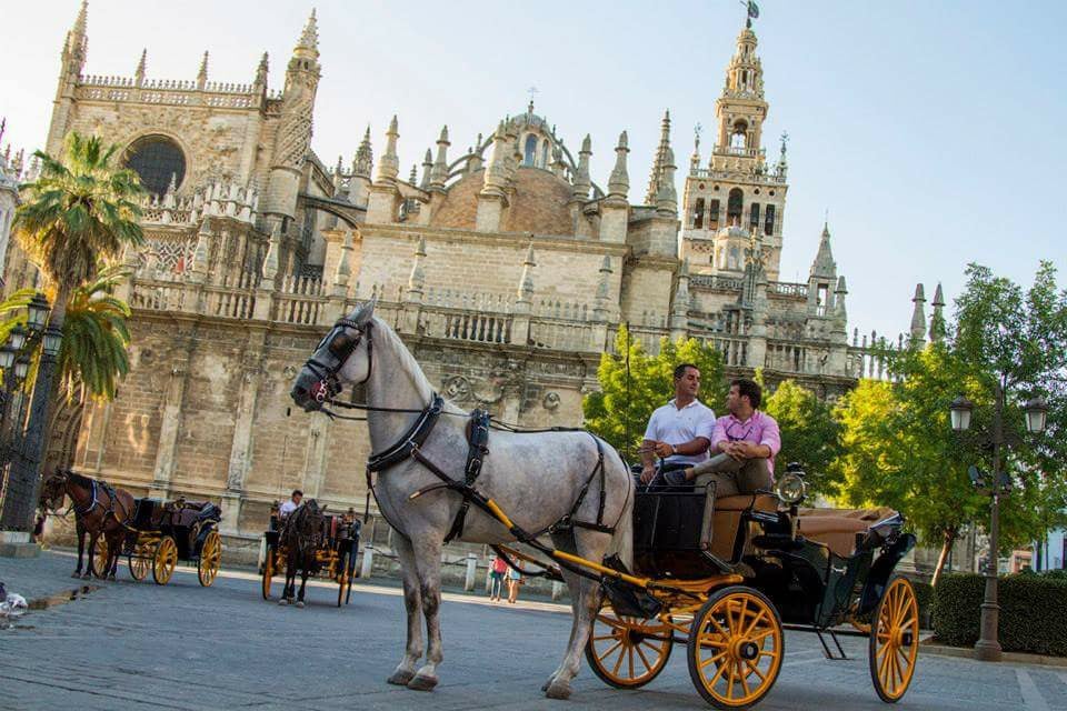Sevilla de Paseo - Empresa de Paseo y Alquiler de Coches de Caballos en Sevilla 1
