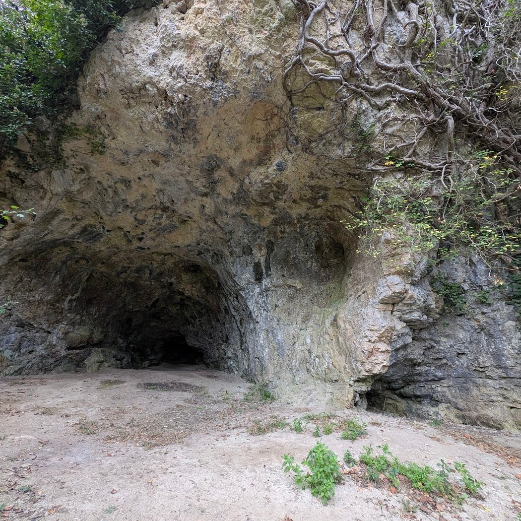 Caves of Arcy-sur-Cure 3