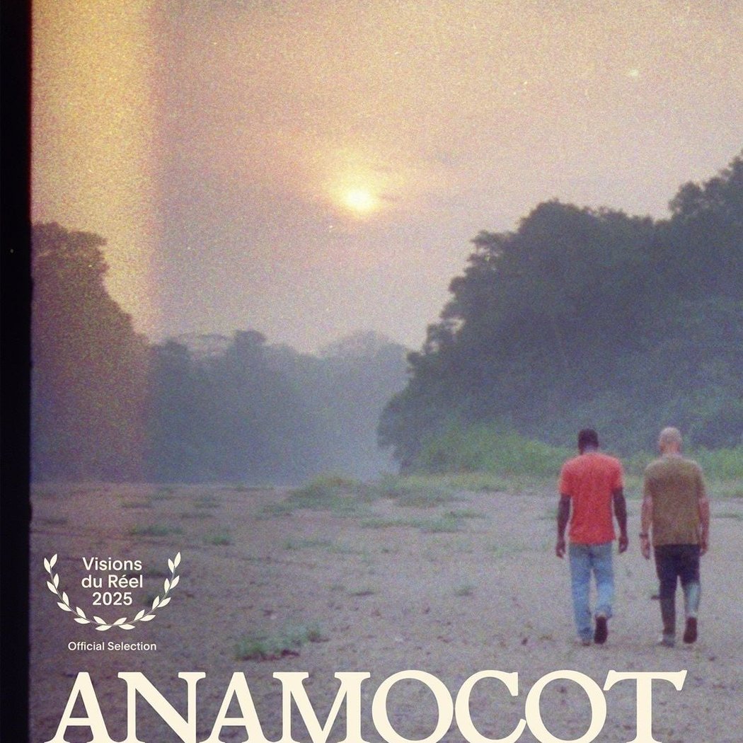 Anamocot La réponse de la mygale 1