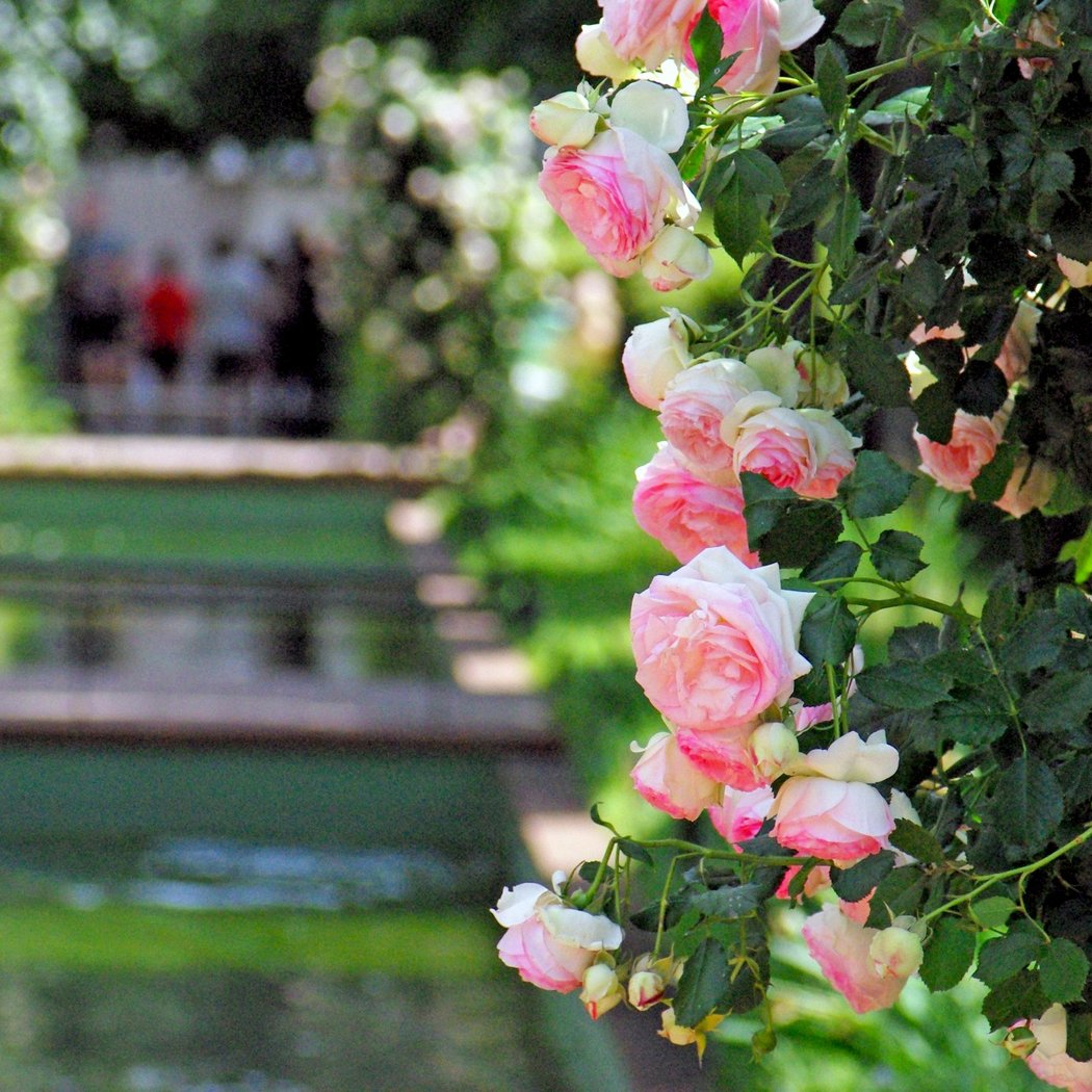 La Promenade Plantée 3