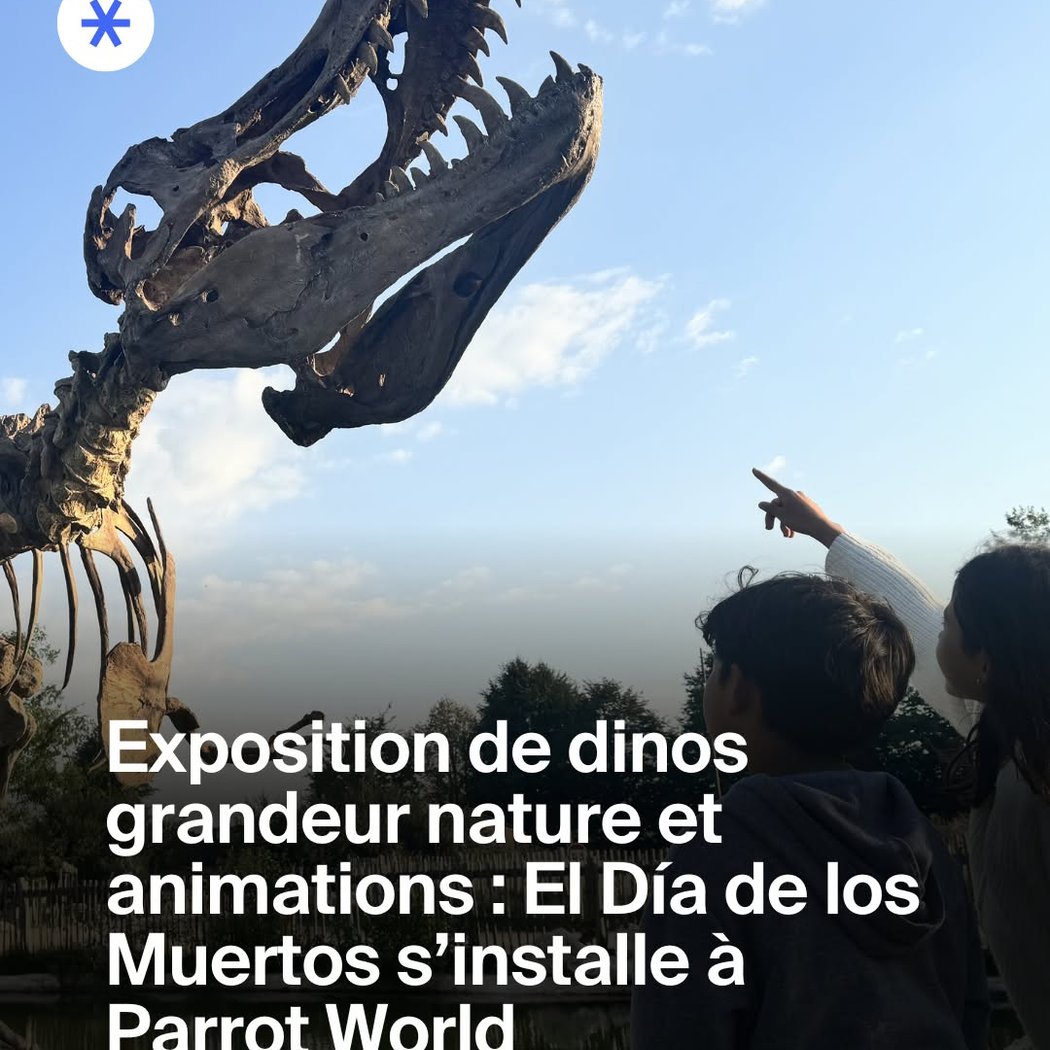 Dia des Los Muertos 2025 1