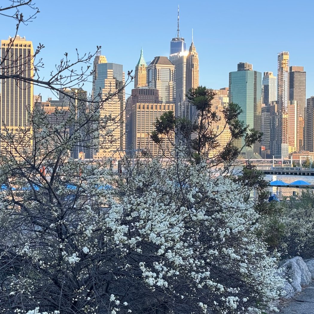 Pier 5 Uplands Lawn 3