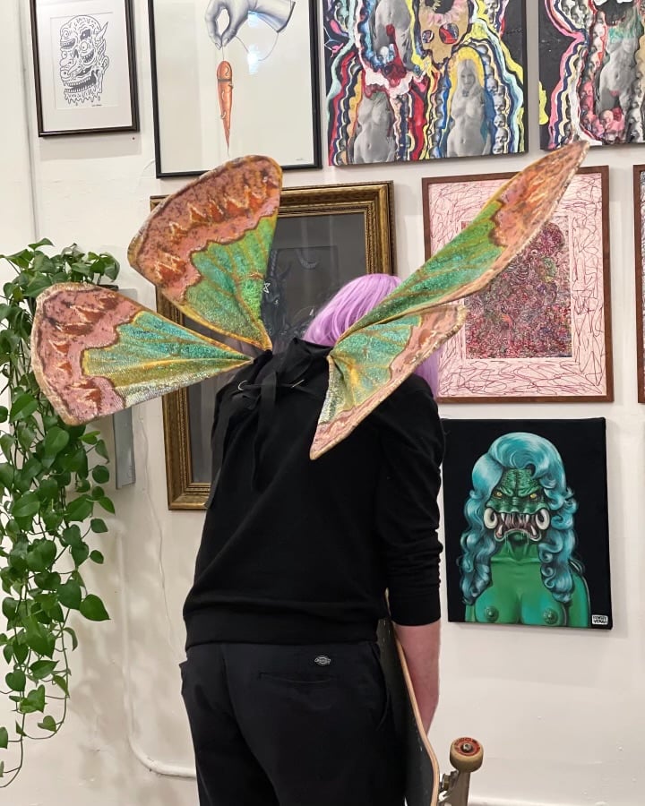 Moth Belly Gallery 1