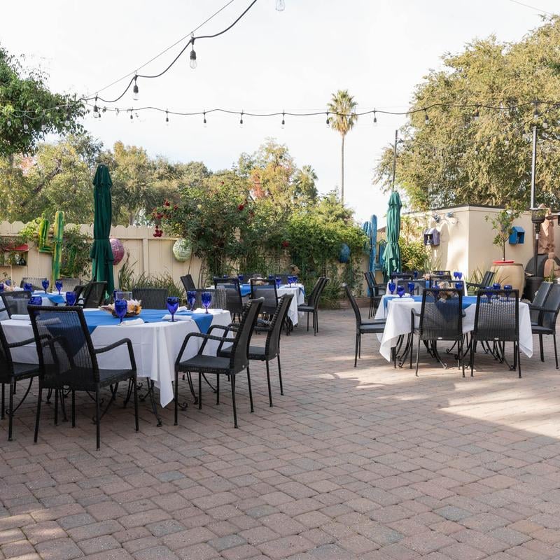 Blue Agave Club 2