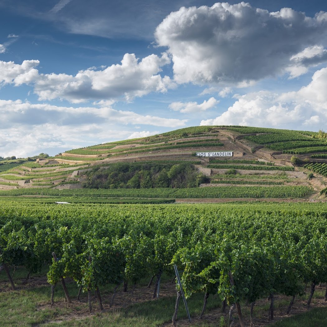 Clos St Landelin - Veronica and Thomas Muré 1