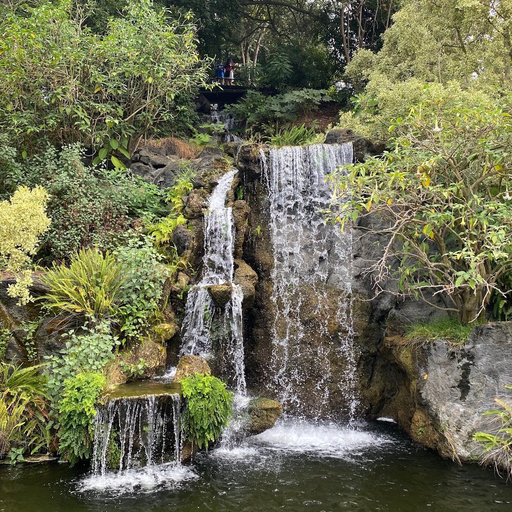 Los Angeles County Arboretum & Botanic Garden 3