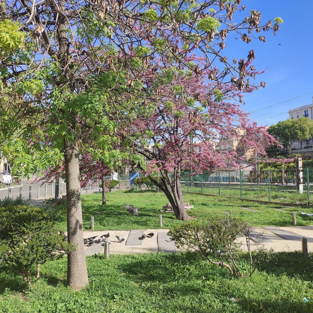 Ouverture du jardin des ateliers blancarde 1