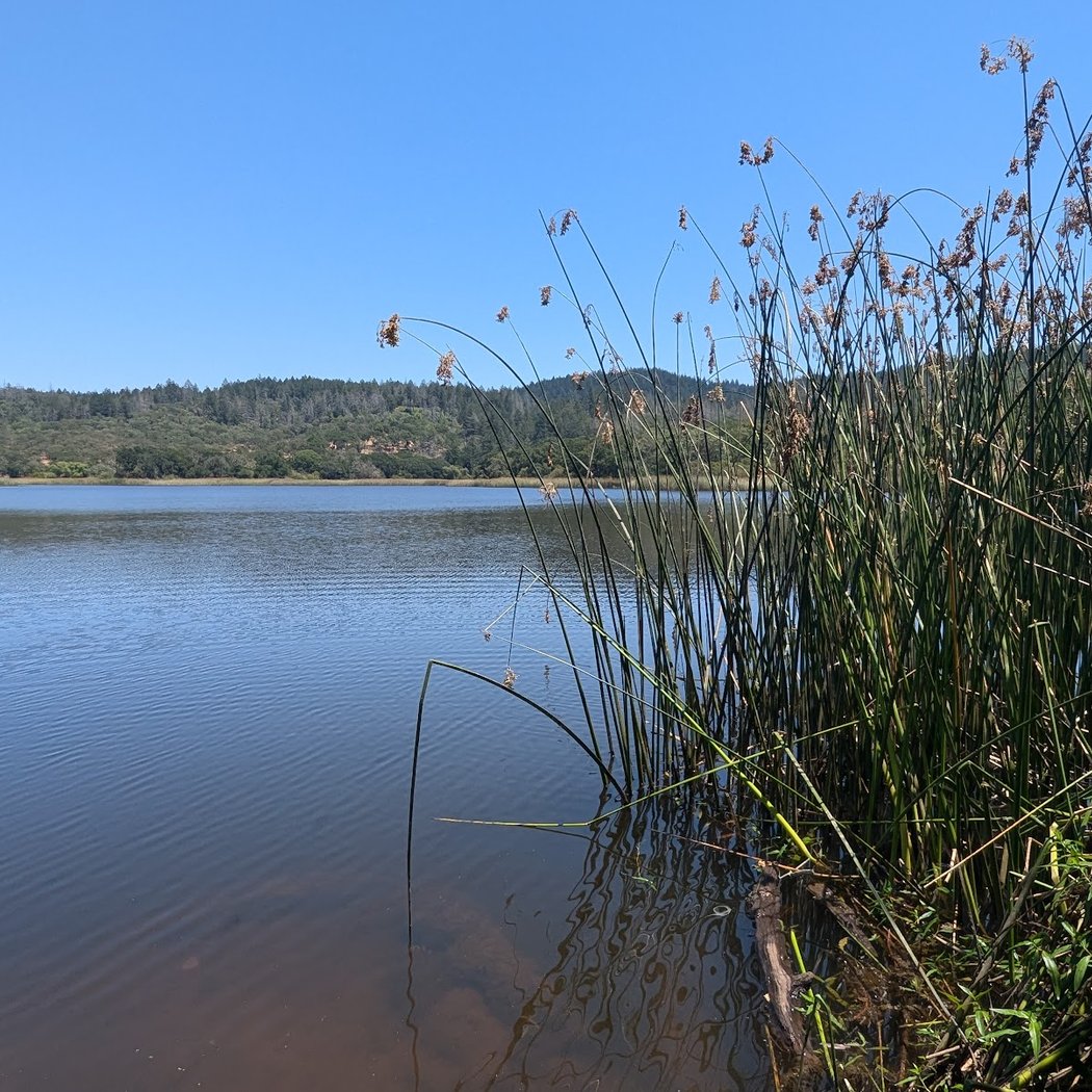Club Hike - Trione-Annadel State Park 3