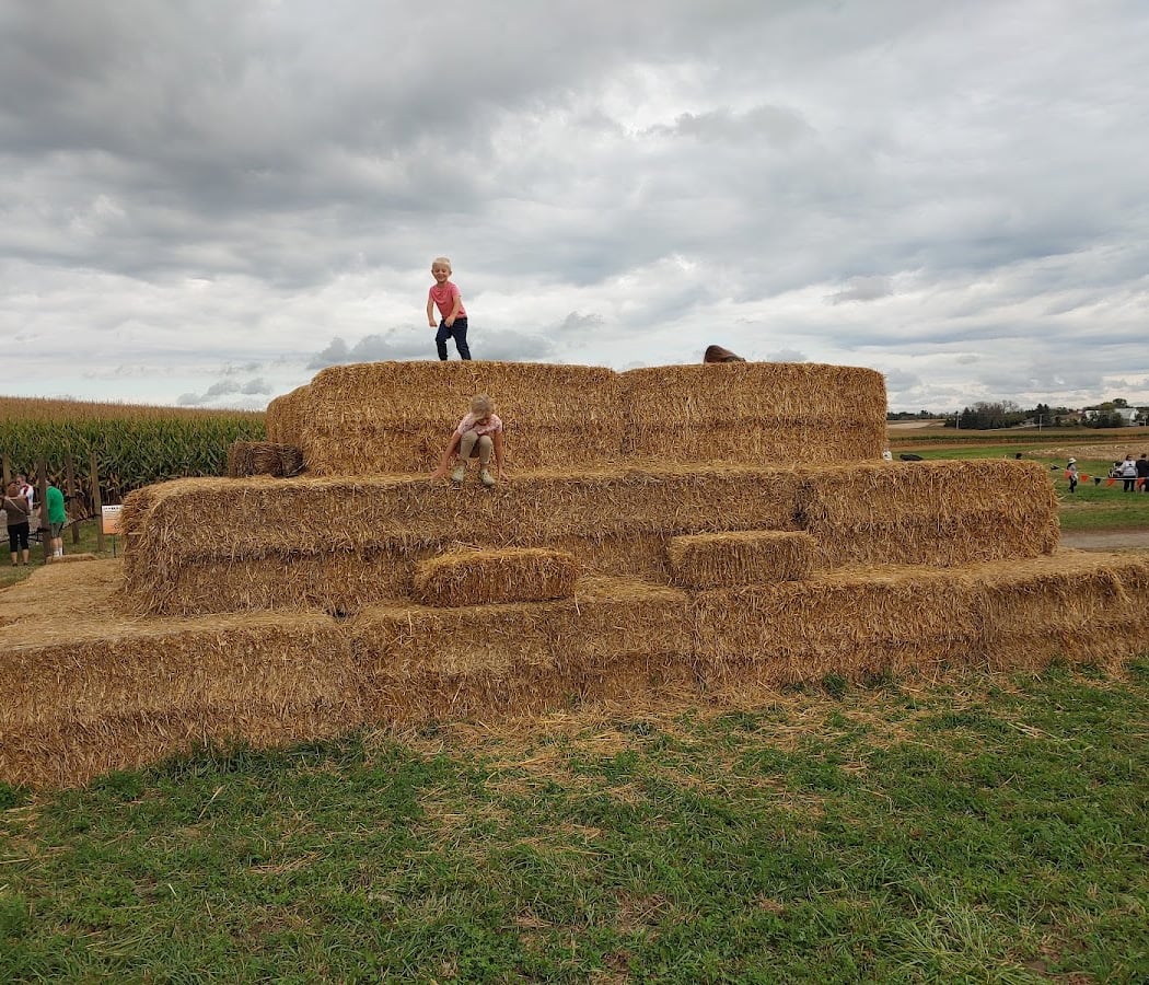 Brand Farms Fall Fun