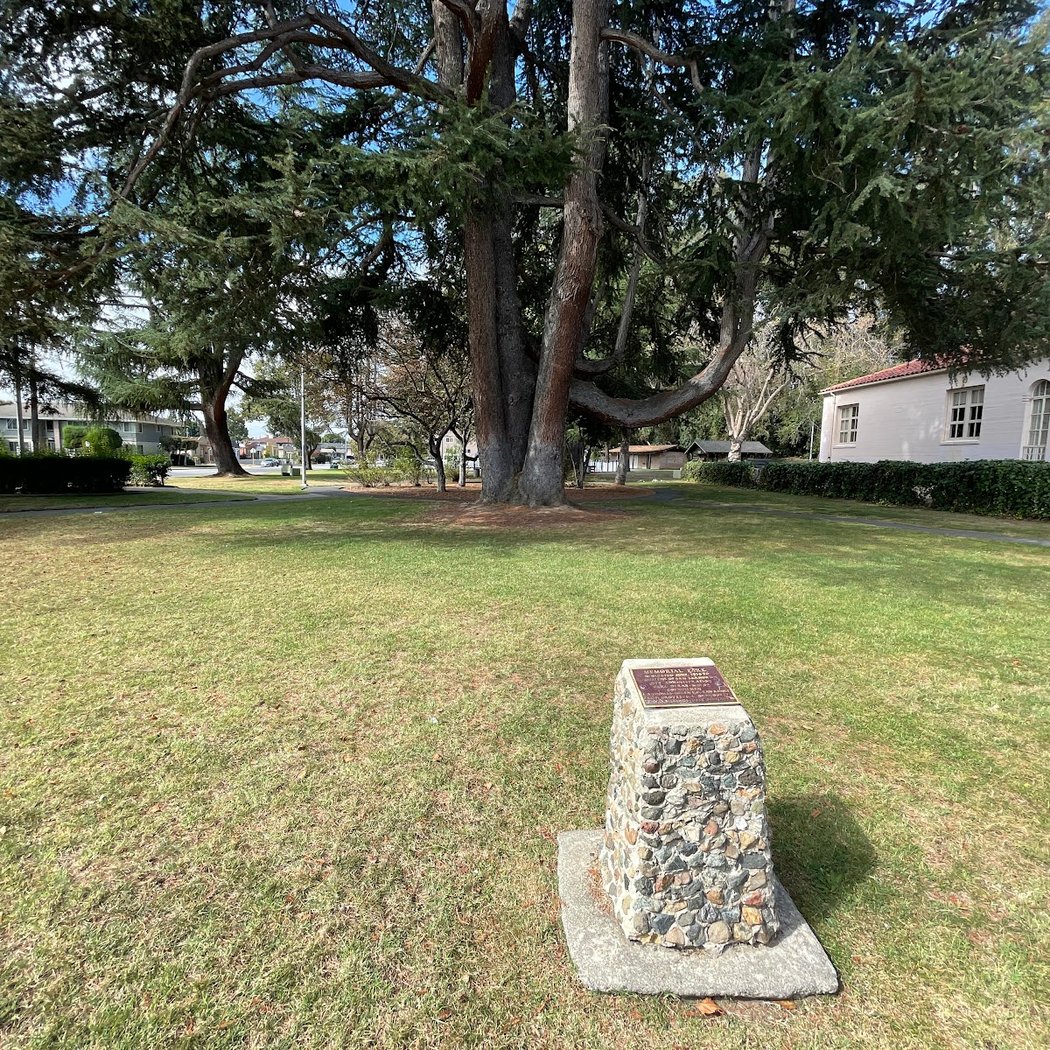 Memorial Park 3
