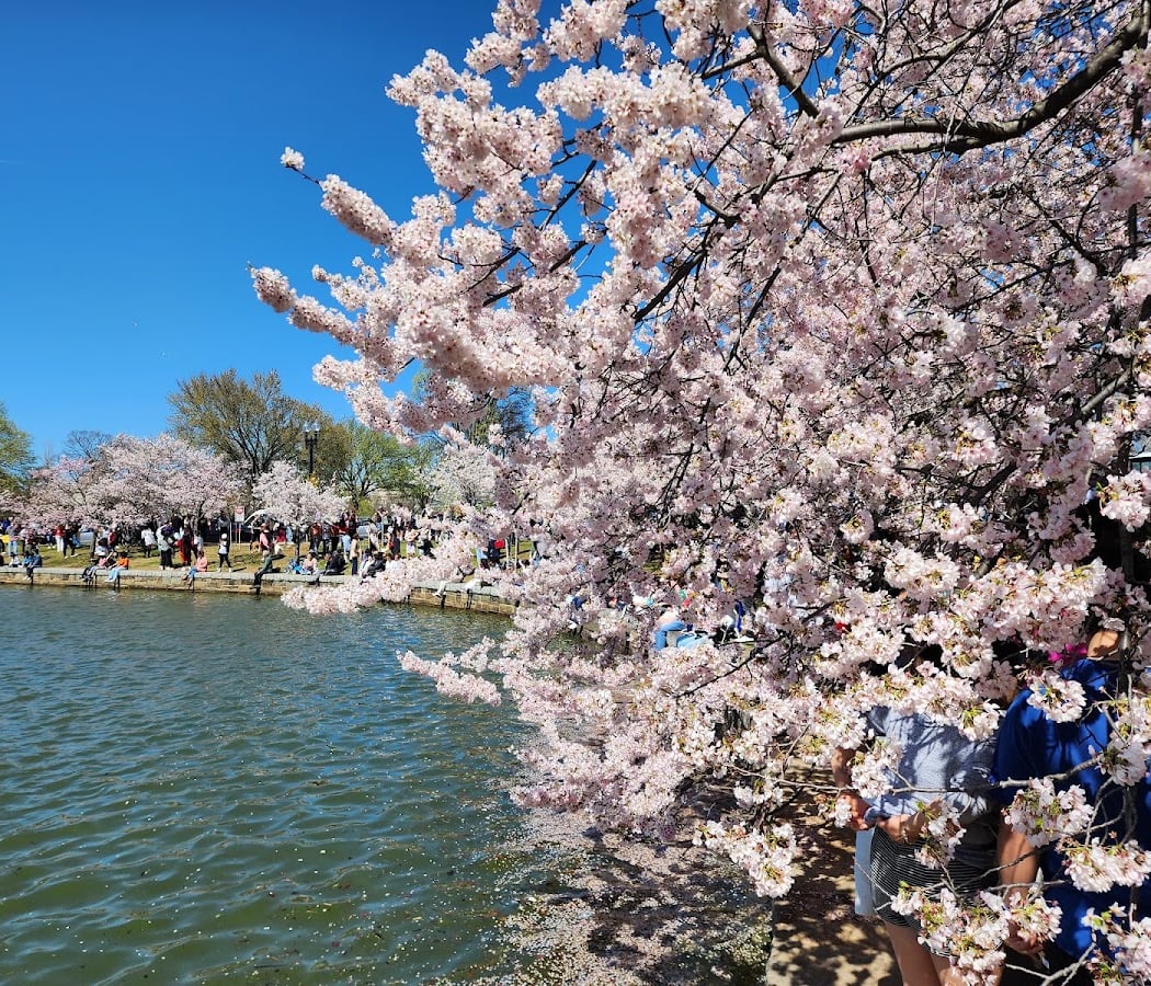 Washington Monument Grounds 2