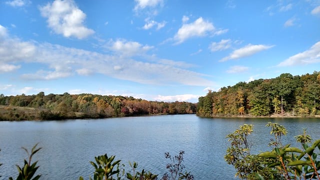 Lake Anna State Park 1