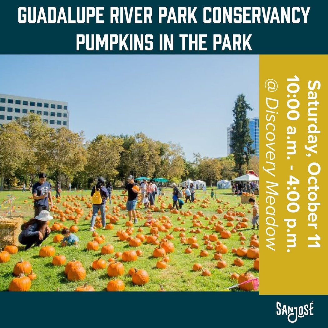 Pumpkins in the Park 1