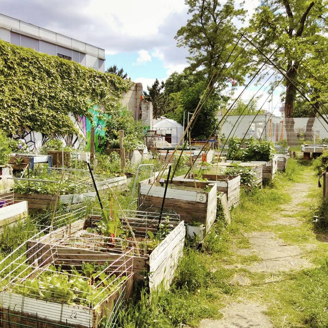 Partagé Banane Pantin Garden 1