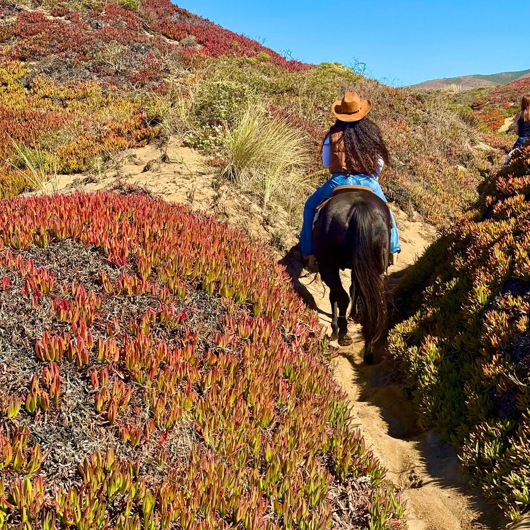 Horse N Around Trail Rides 1