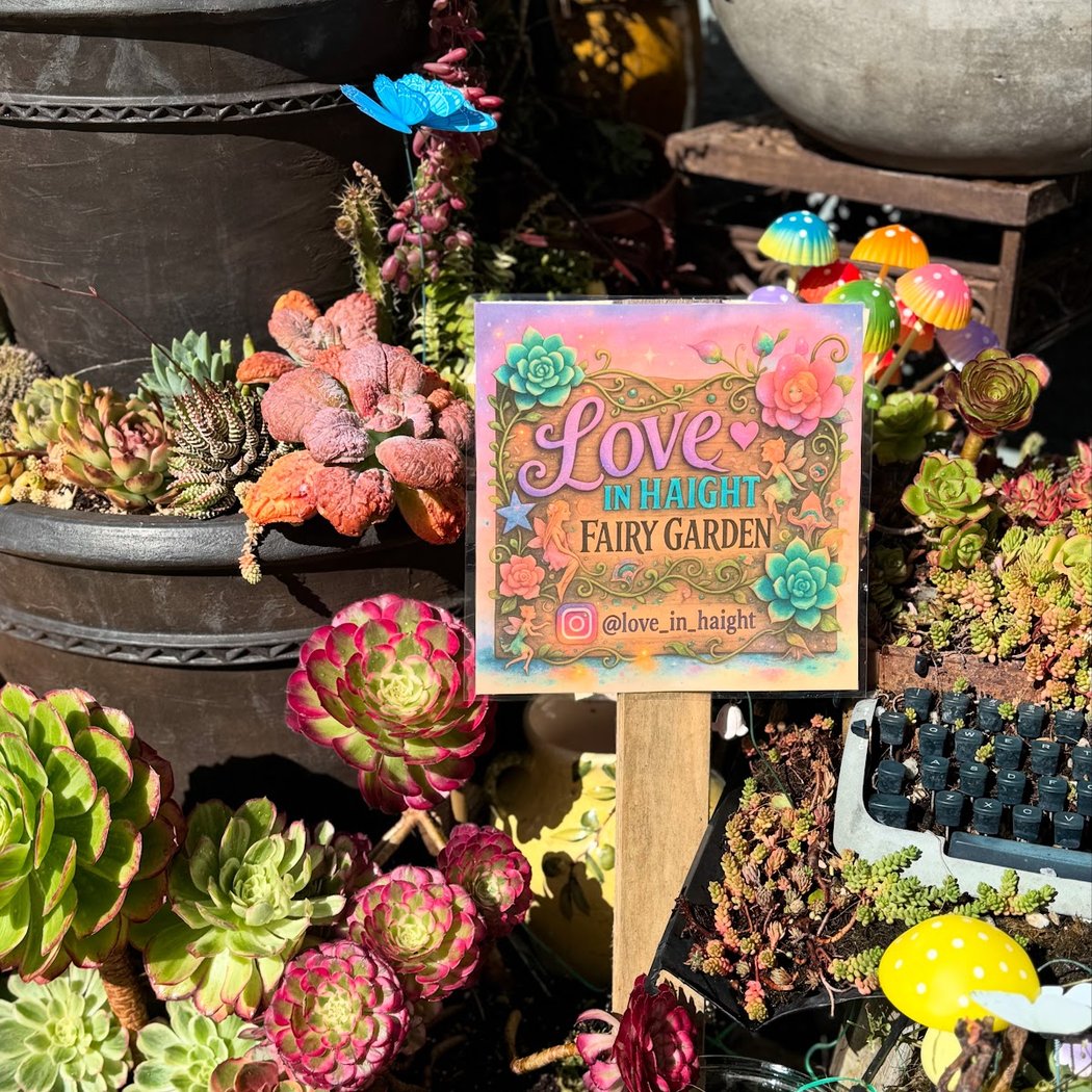 Love in Haight Fairy Garden 2