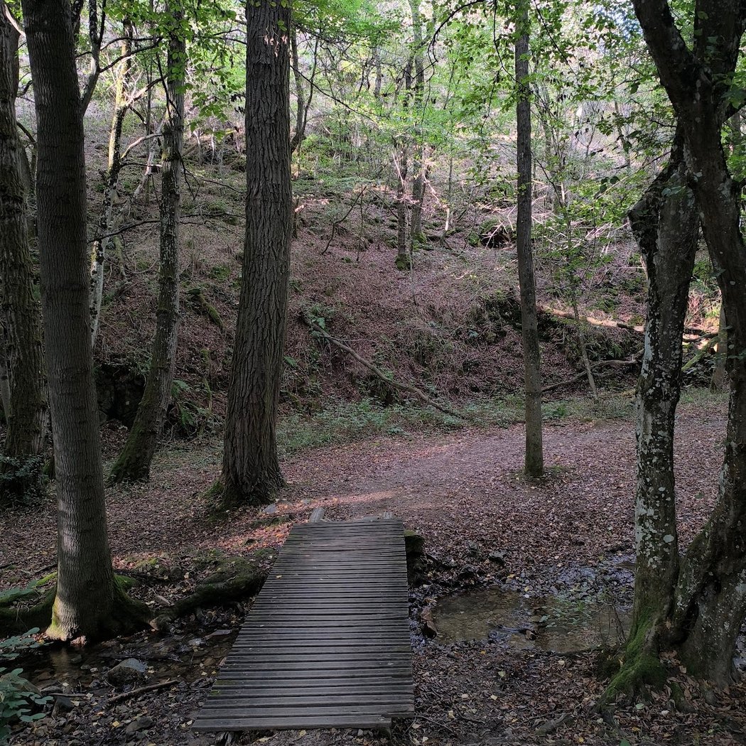 Saint-Étienne – Gorges de la Loire Nature Reserve 3
