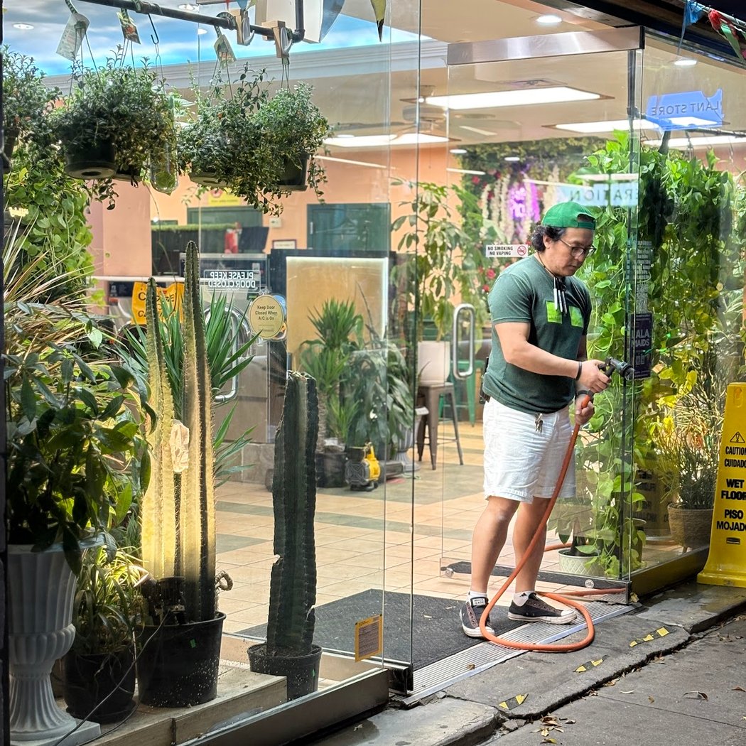 La La Plant Shop 2