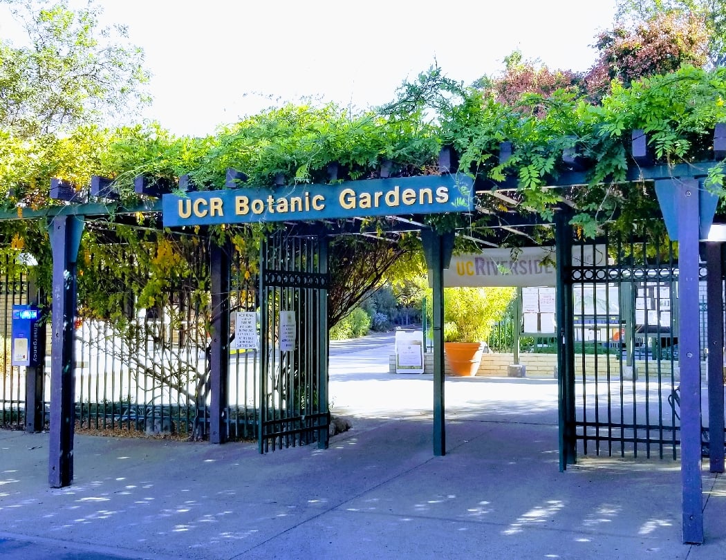 UC Riverside Botanic Gardens 3