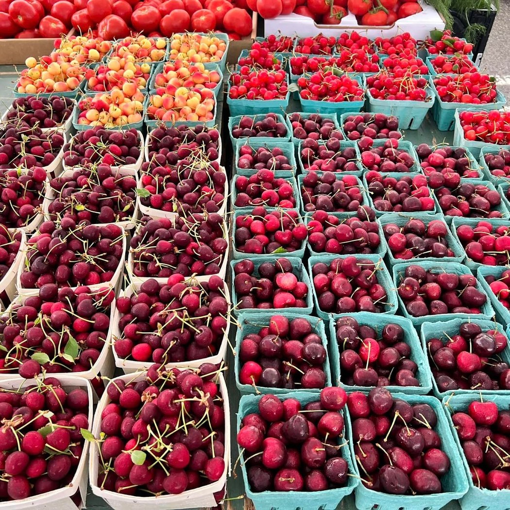 Down to Earth Larchmont Farmers Market 1