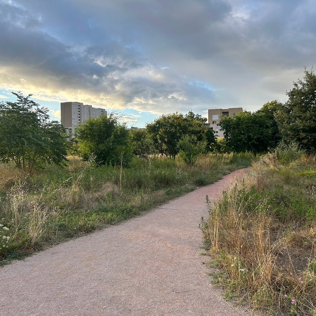 Les cinémas en plein air 3