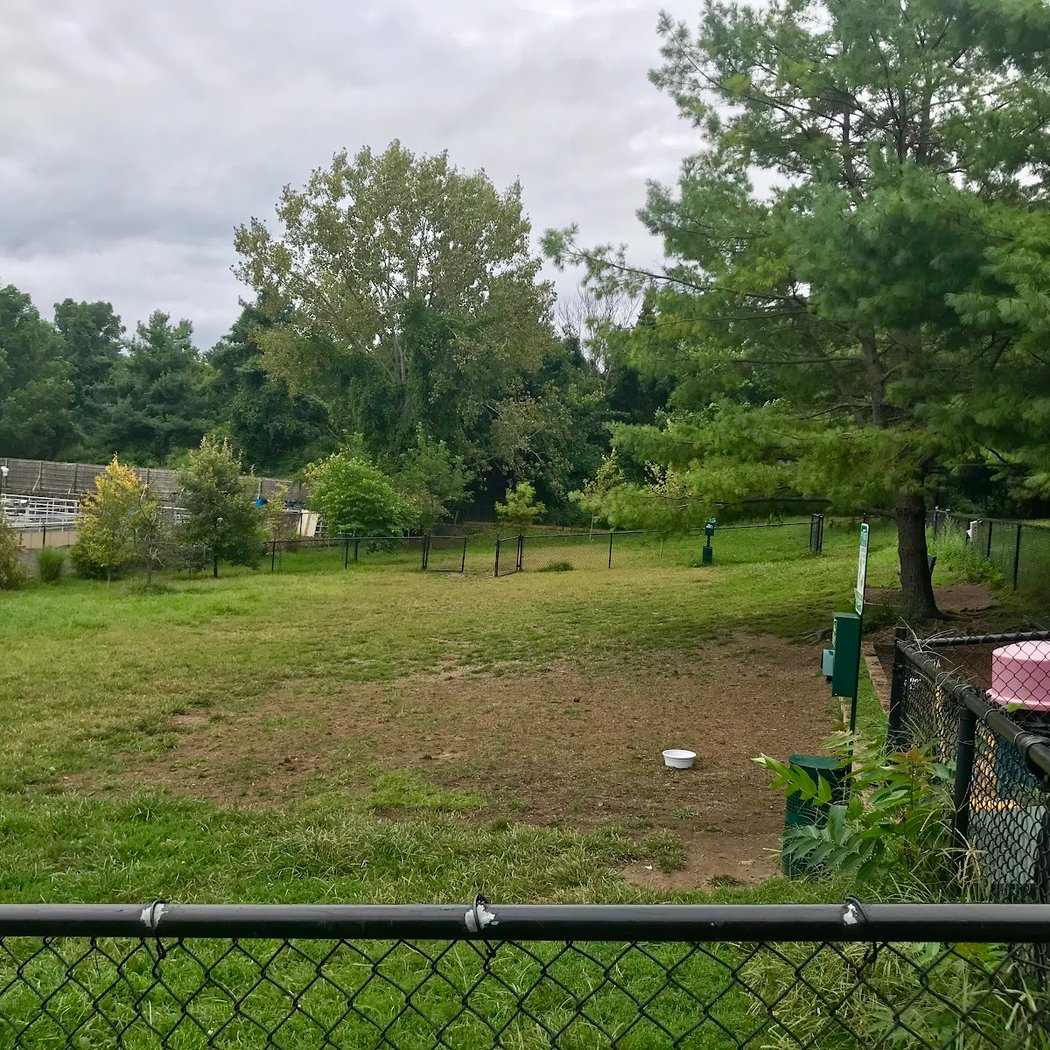 Grass Island Dog Park 2
