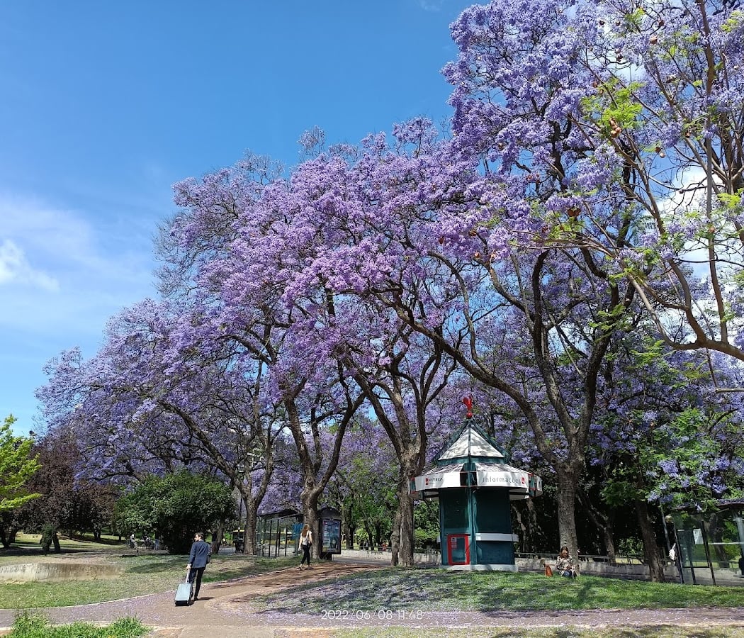 Praça da Alegria 1
