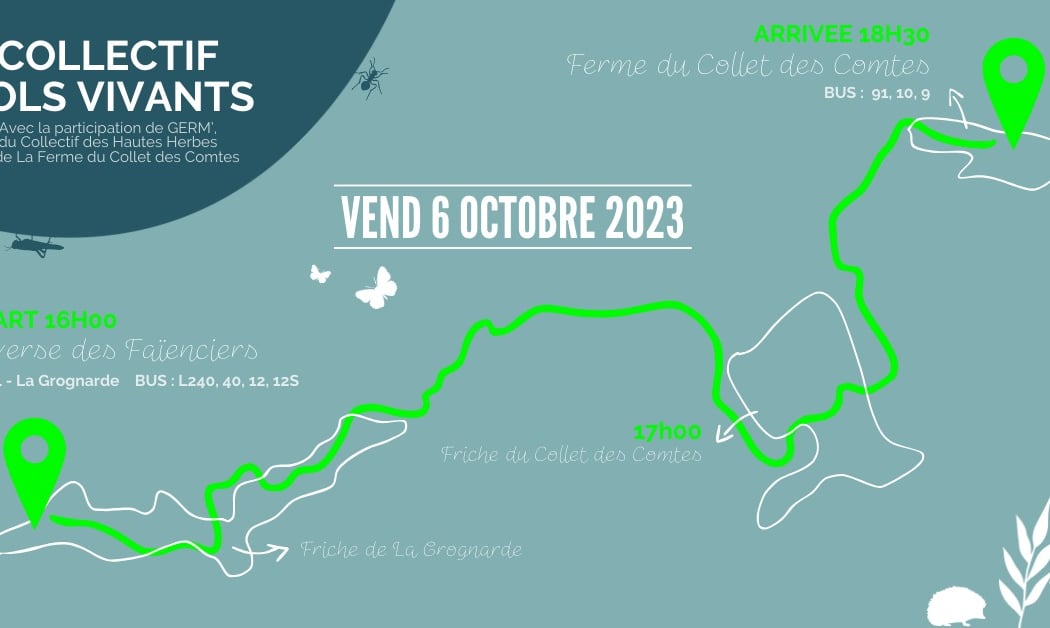Balade à la découverte des liens et des chemins entre les friches 1