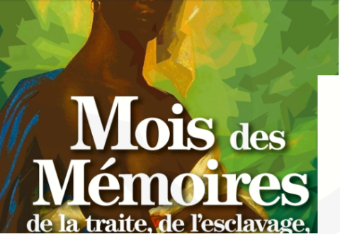#C'estnotrehistoire, Esclavages et abolitions : une histoire de France 1