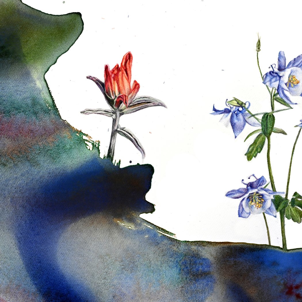 Watercolor and Ink Nature Journaling