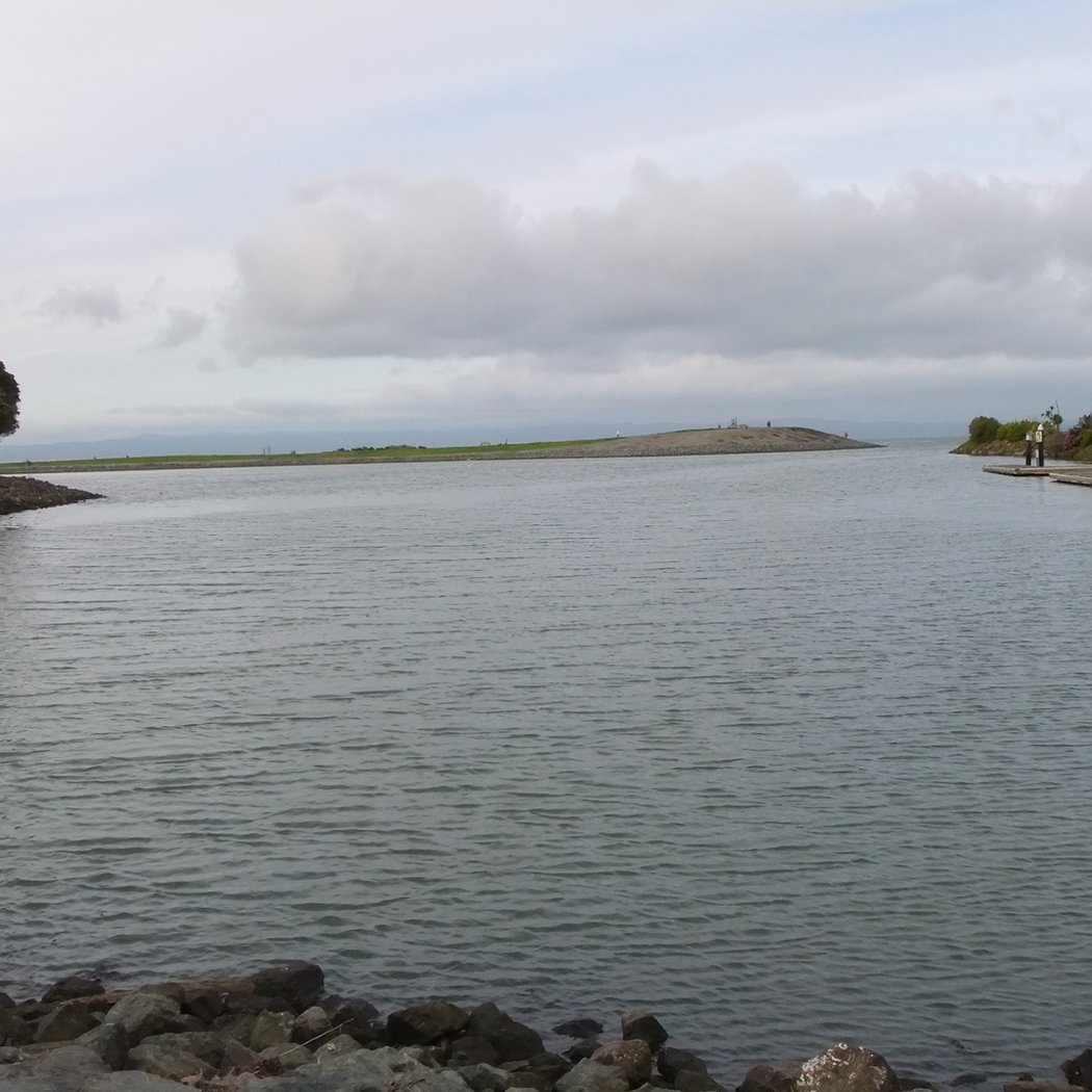 San Leandro Marina 2