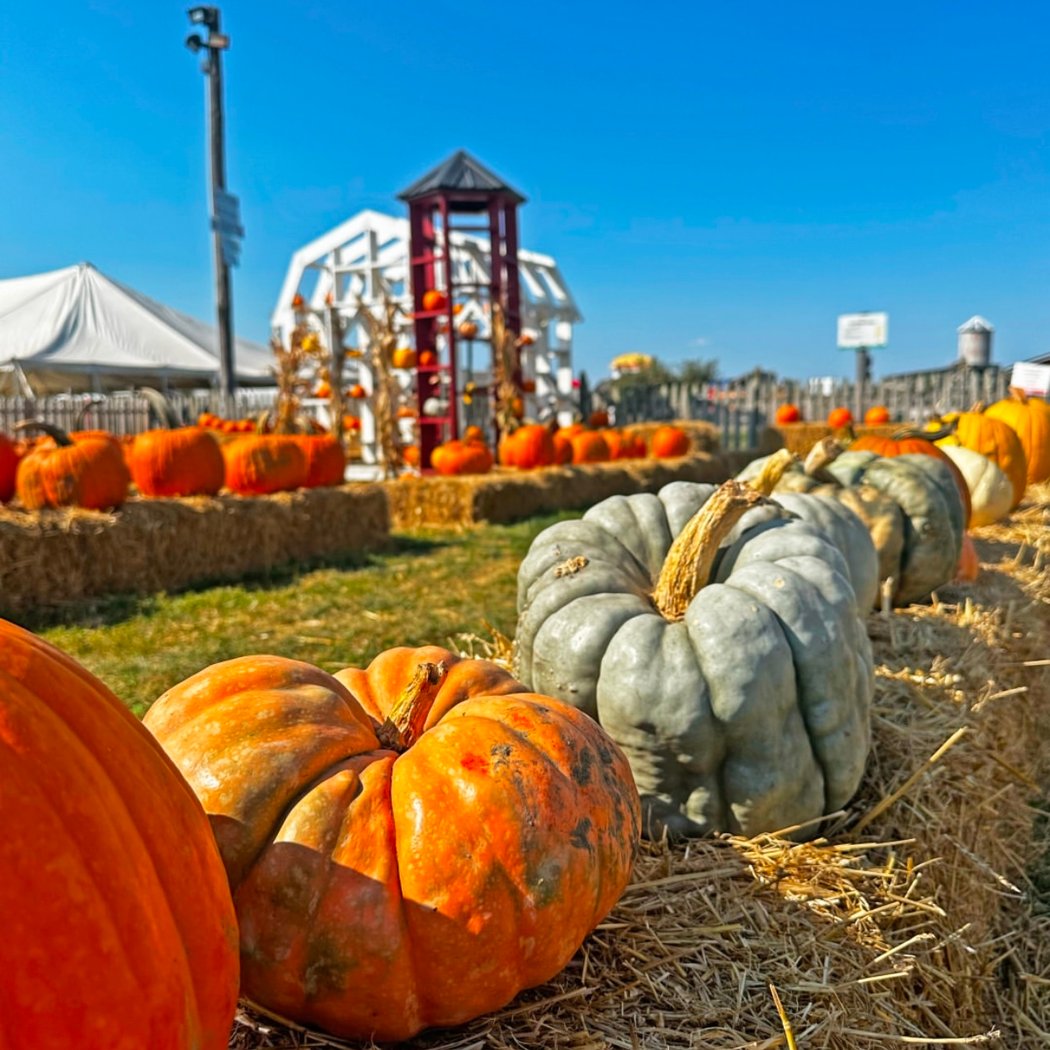 Blake's Orchard & Cider Mill 1