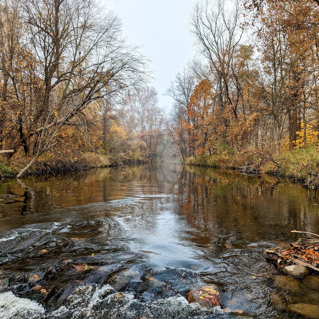 Dodge Park 1