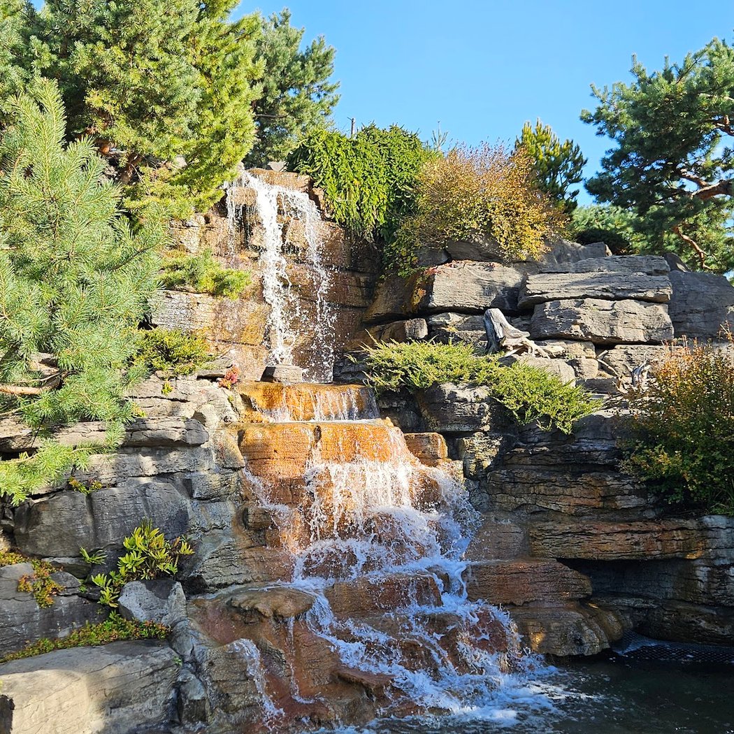 Alpine Garden 1