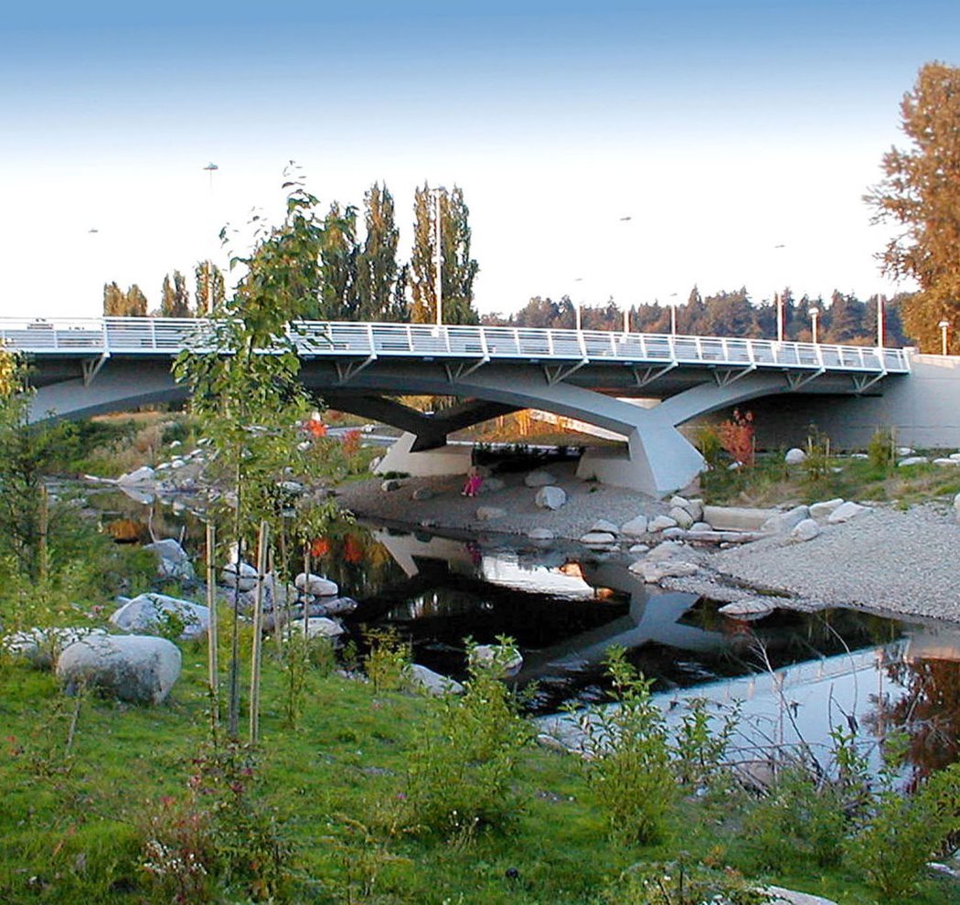 Salmon SEEson at 90th St Bridge 1