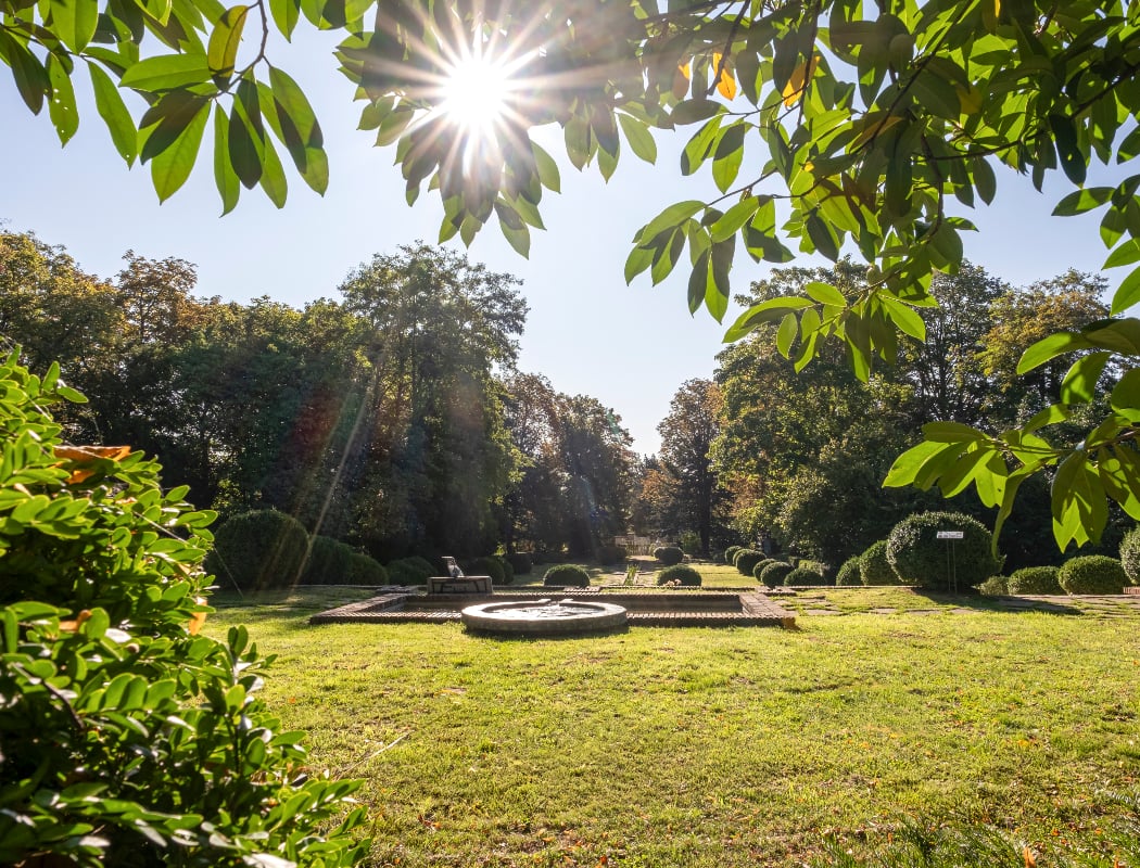 Parc Boussard 3