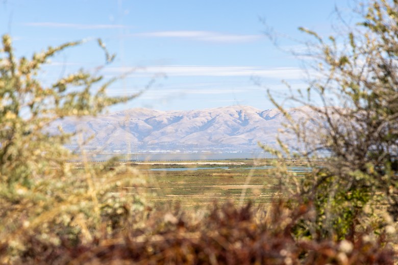 Lucy Evans Baylands Nature Interpretive Center 2