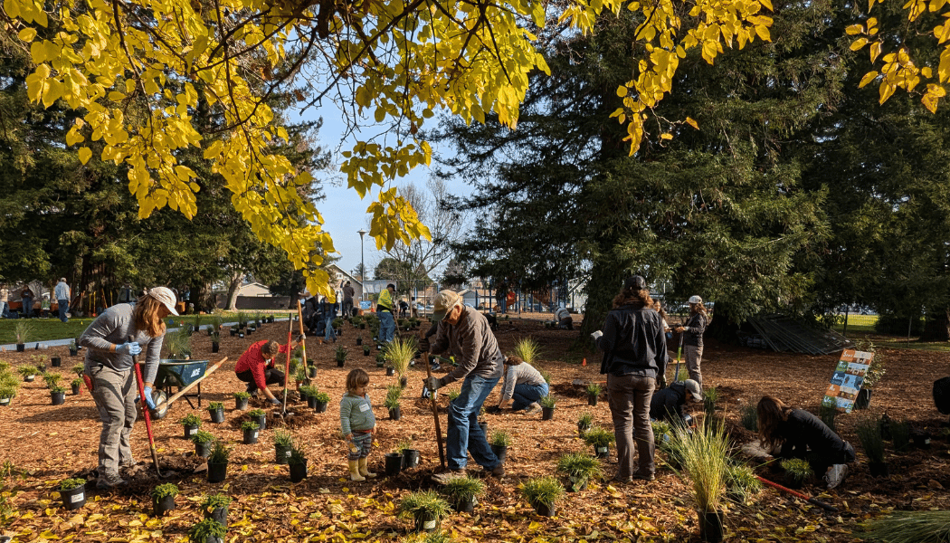Garden Steward November Workday 1