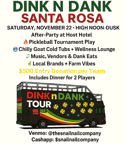 Dink n Dank Pickleball - B2B Pickleball Tournament 1