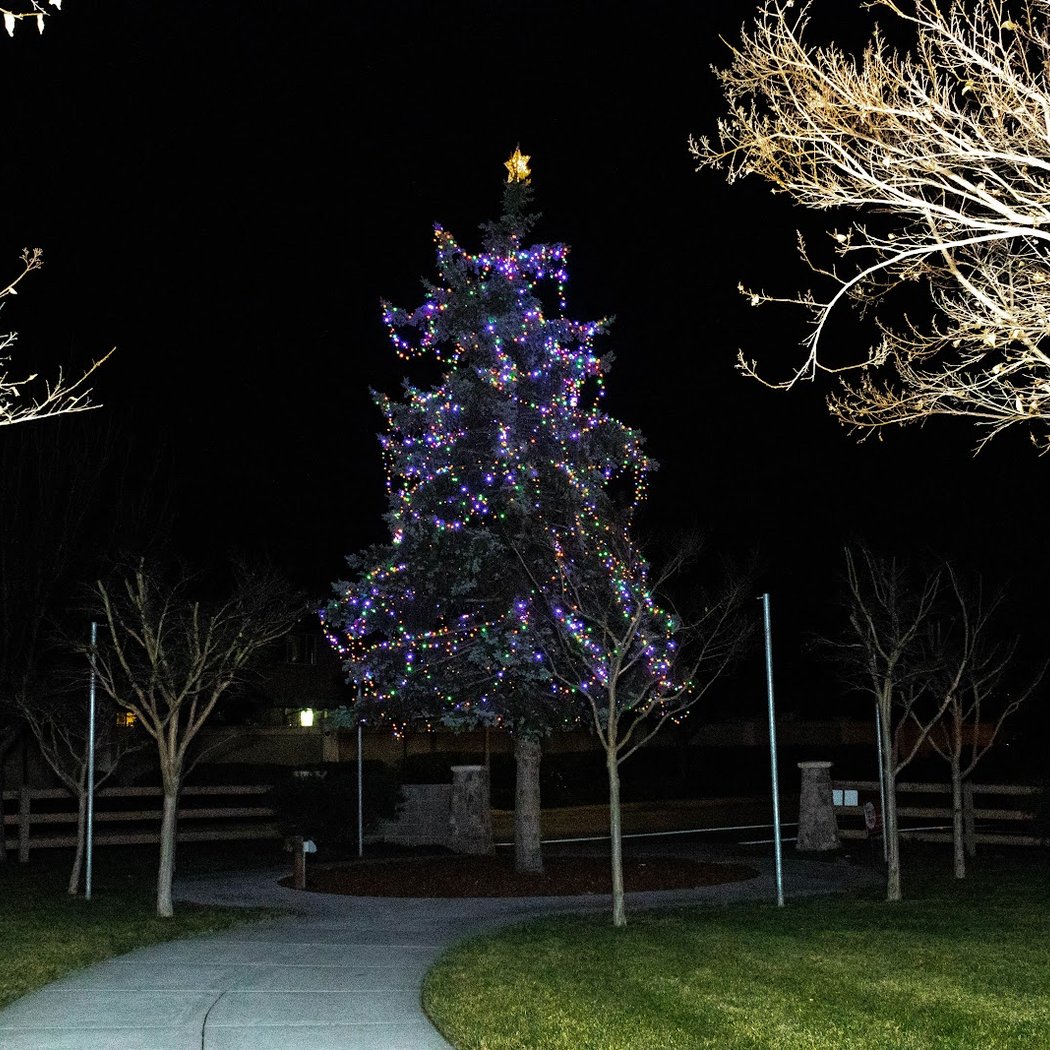 Magic of the Season- Holiday Market Place 1