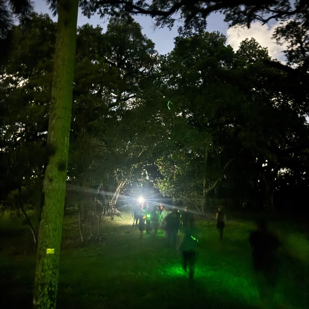 Ghostly Garden Tour 2