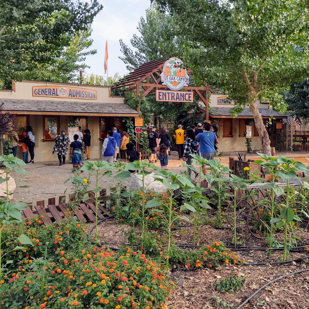 Live Oak Canyon Farm 2