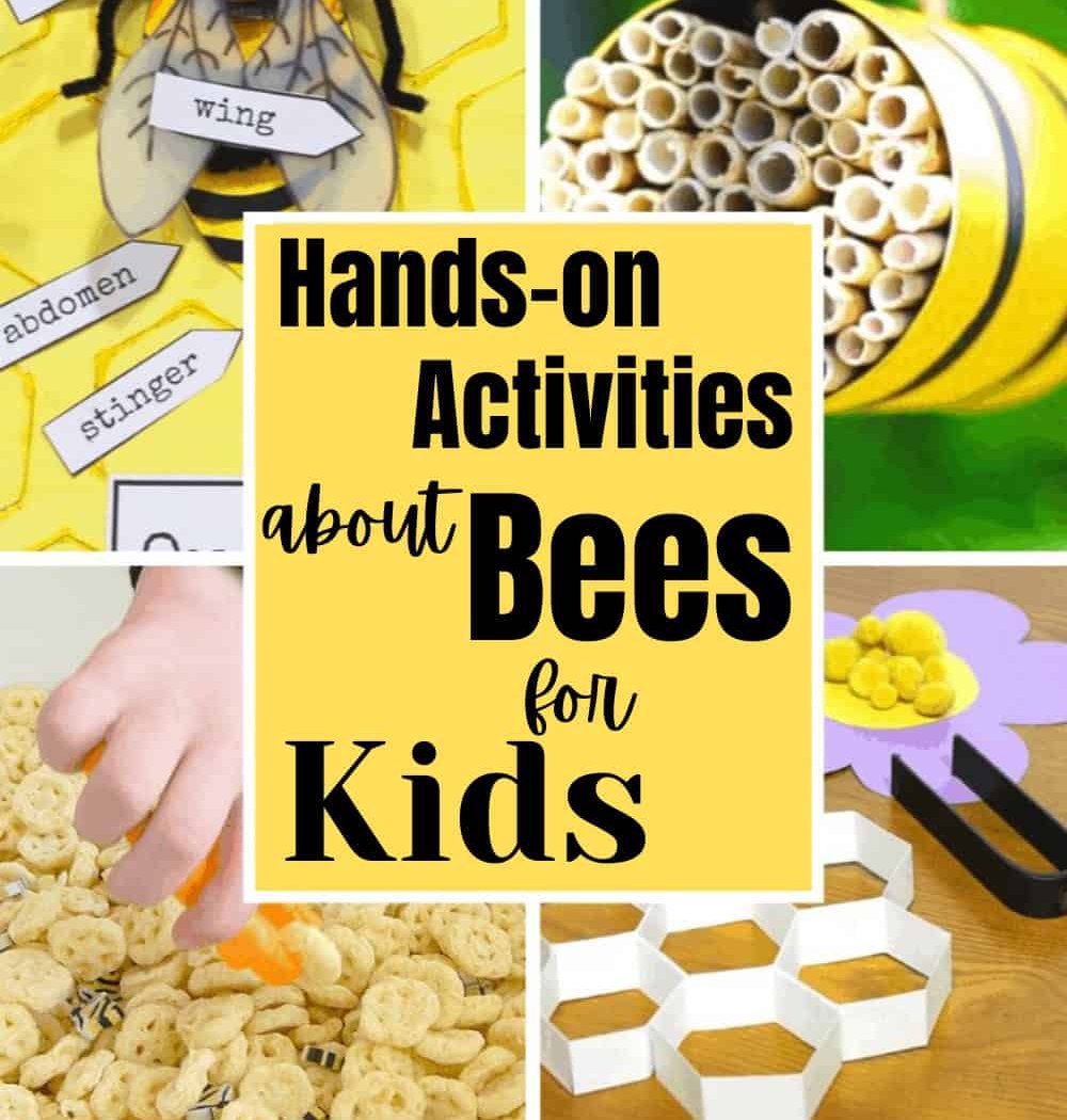Build A Beehouse 3