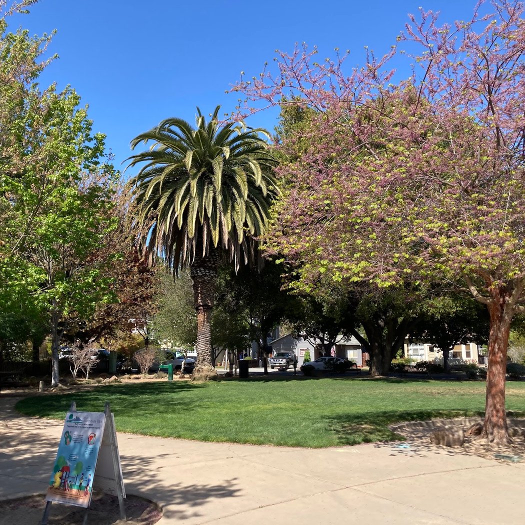 Mercy-Bush Park 2