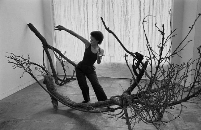 Maren Hassinger: Living Moving Growing 2
