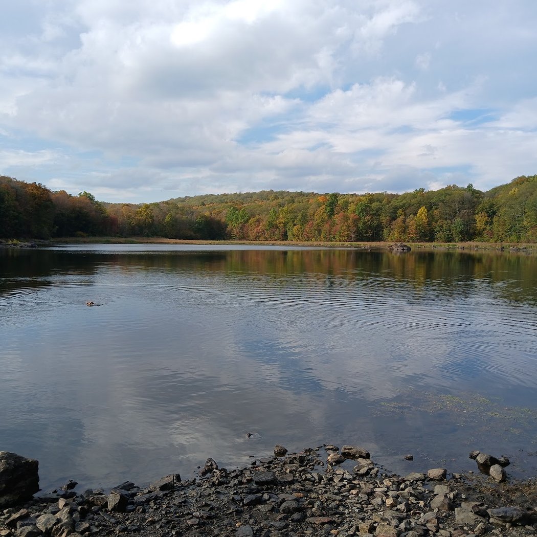 West Mountain State Forest 1