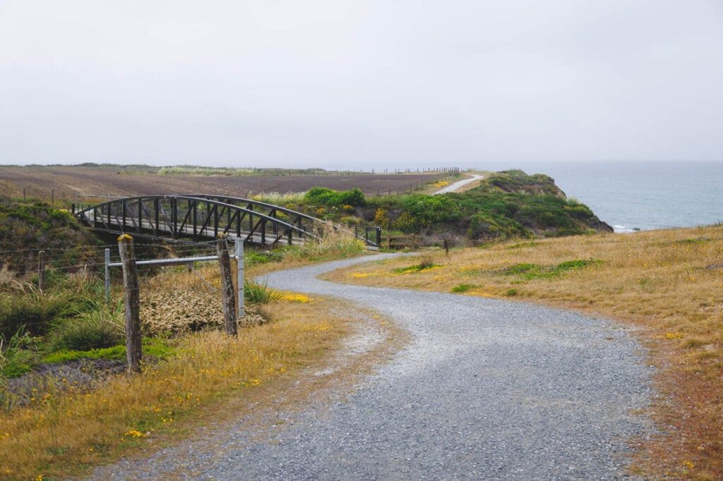Cowell-Purisima Coastal Trail 2